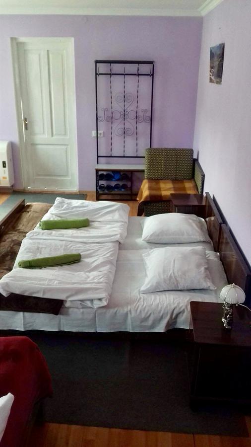 Nino Khetaguri Guest House Stepancminda Zewnętrze zdjęcie