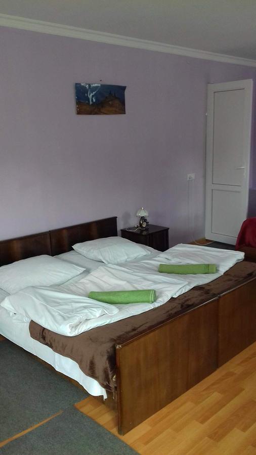 Nino Khetaguri Guest House Stepancminda Zewnętrze zdjęcie