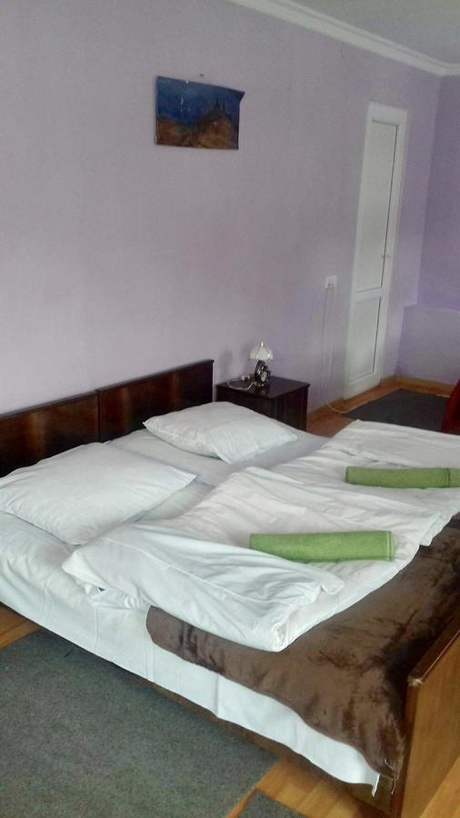 Nino Khetaguri Guest House Stepancminda Zewnętrze zdjęcie